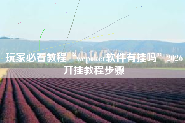 玩家必看教程“wepoker软件有挂吗	”2026开挂教程步骤