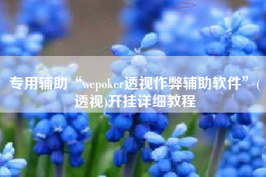 专用辅助“wepoker透视作弊辅助软件	”(透视)开挂详细教程