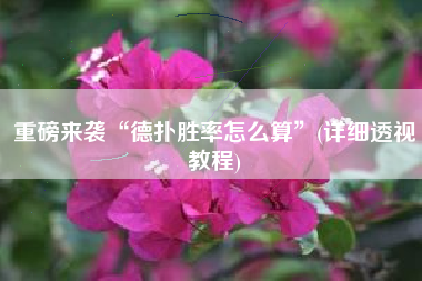 重磅来袭“德扑胜率怎么算”(详细透视教程)