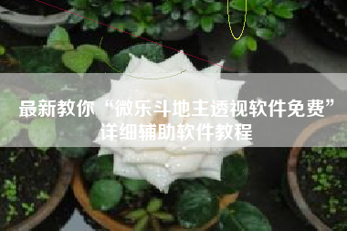 最新教你“微乐斗地主透视软件免费”详细辅助软件教程