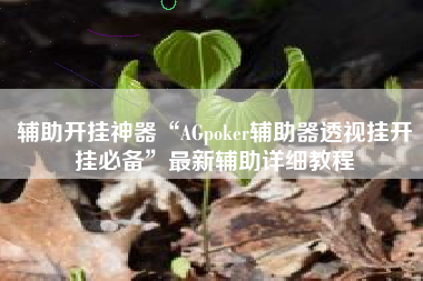 辅助开挂神器“AGpoker辅助器透视挂开挂必备”最新辅助详细教程