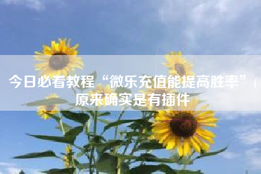 今日必看教程“微乐充值能提高胜率”(原来确实是有插件