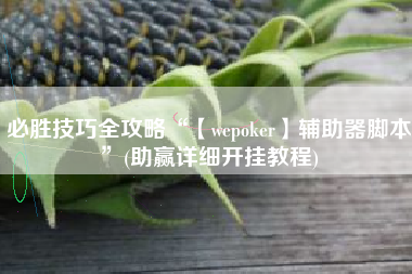 必胜技巧全攻略“【wepoker】辅助器脚本”(助赢详细开挂教程)