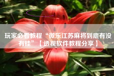 玩家必看教程“微乐江苏麻将到底有没有挂”【透视软件教程分享】