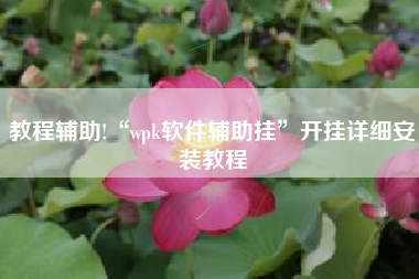 教程辅助!“wpk软件辅助挂	”开挂详细安装教程