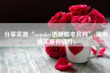 分享实测“wepoker透视脚本官网”(原来确实是有插件)