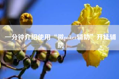 一分钟介绍使用“微poker辅助”开挂辅助