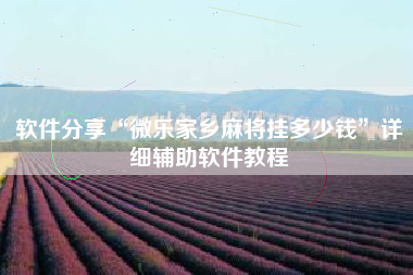 软件分享“微乐家乡麻将挂多少钱”详细辅助软件教程