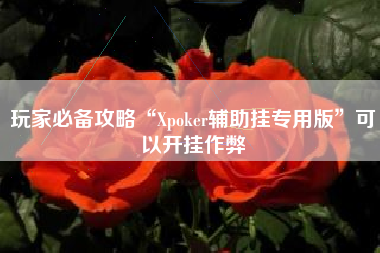 玩家必备攻略“Xpoker辅助挂专用版”可以开挂作弊