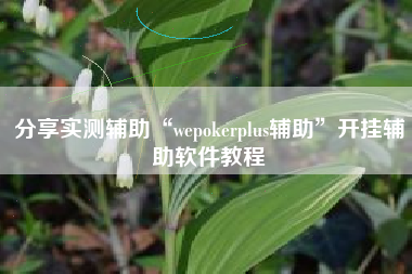 分享实测辅助“wepokerplus辅助”开挂辅助软件教程