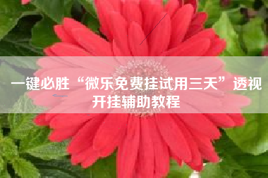 一键必胜“微乐免费挂试用三天”透视开挂辅助教程