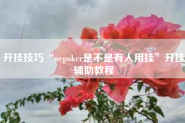开挂技巧“wepoker是不是有人用挂”开挂辅助教程