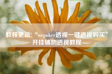 教程更新!“wepoker透视一键透视购买	”开挂辅助透视教程