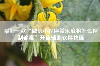 最新一款“微信小程序微乐麻将怎么控制输赢”开挂辅助软件教程