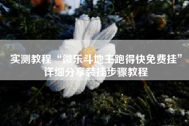 实测教程“微乐斗地主跑得快免费挂”详细分享装挂步骤教程