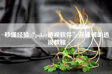 秒懂经验“poker透视软件”开挂辅助透视教程