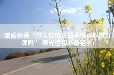 重磅来袭“微乐挖坑充值系统可以发好牌吗”(曝光透视必备猫腻)