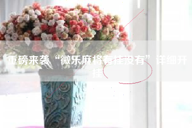 重磅来袭“微乐麻将有挂没有”详细开挂