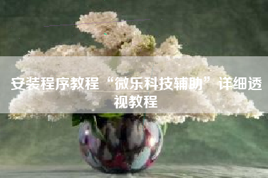 安装程序教程“微乐科技辅助”详细透视教程