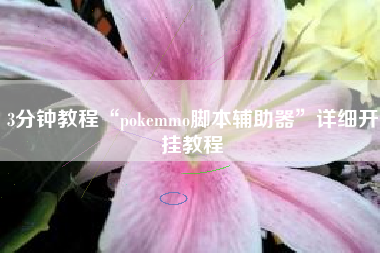 3分钟教程“pokemmo脚本辅助器	”详细开挂教程