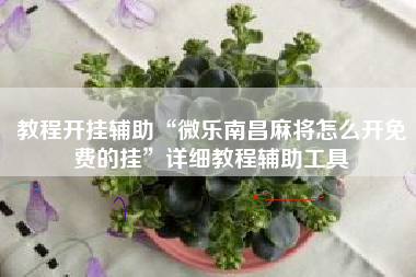 教程开挂辅助“微乐南昌麻将怎么开免费的挂”详细教程辅助工具