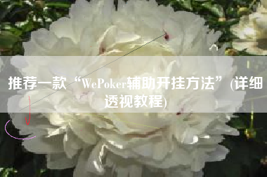 推荐一款“WePoker辅助开挂方法”(详细透视教程)