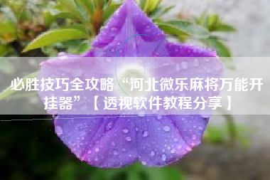 必胜技巧全攻略“河北微乐麻将万能开挂器	”【透视软件教程分享】