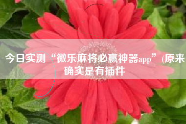 今日实测“微乐麻将必赢神器app”(原来确实是有插件