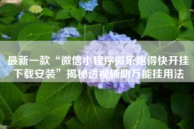 最新一款“微信小程序微乐跑得快开挂下载安装”揭秘透视辅助万能挂用法