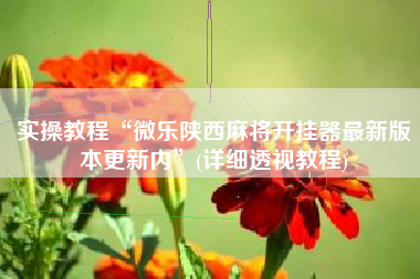 实操教程“微乐陕西麻将开挂器最新版本更新内”(详细透视教程)