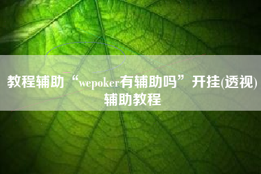 教程辅助“wepoker有辅助吗”开挂(透视)辅助教程