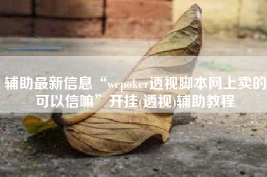 辅助最新信息“wepoker透视脚本网上卖的可以信嘛	”开挂(透视)辅助教程