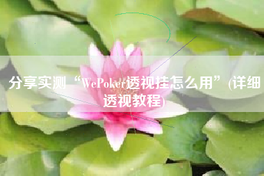 分享实测“WePoker透视挂怎么用”(详细透视教程)