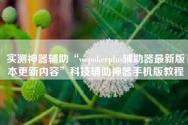 实测神器辅助“wepokerplus辅助器最新版本更新内容”科技辅助神器手机版教程