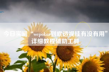 今日实测“wepoker到底透视挂有没有用”详细教程辅助工具
