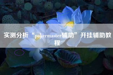 实测分析“pokermaster辅助”开挂辅助教程