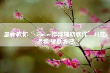 最新教你“wepoker作弊辅助软件”开挂(透视)辅助神器