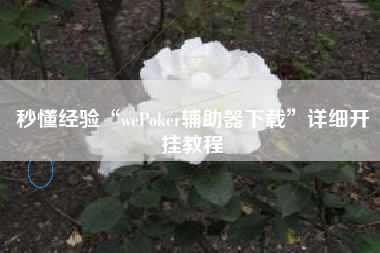 秒懂经验“wePoker辅助器下载	”详细开挂教程