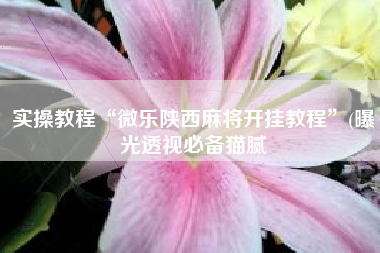 实操教程“微乐陕西麻将开挂教程”(曝光透视必备猫腻