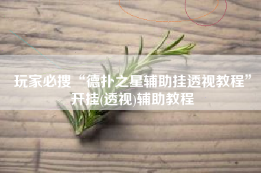 玩家必搜“德扑之星辅助挂透视教程”开挂(透视)辅助教程