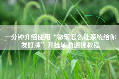 一分钟介绍使用“微乐怎么让系统给你发好牌”开挂辅助透视教程