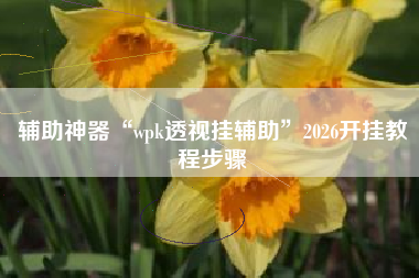 辅助神器“wpk透视挂辅助	”2026开挂教程步骤