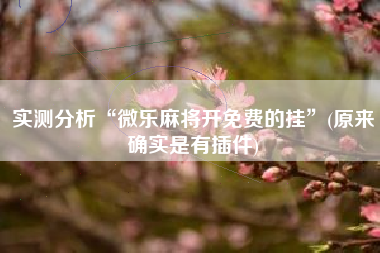 实测分析“微乐麻将开免费的挂”(原来确实是有插件)