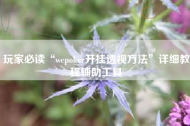 玩家必读“wepoker开挂透视方法	”详细教程辅助工具