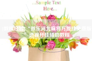 [教程经验]“微乐河北麻将万能挂免费版”透视开挂辅助教程