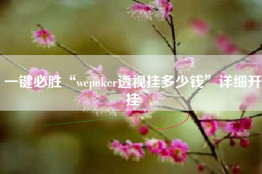 一键必胜“wepoker透视挂多少钱”详细开挂