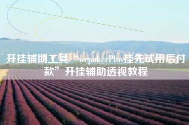 开挂辅助工具“wepokerPlus挂先试用后付款”开挂辅助透视教程