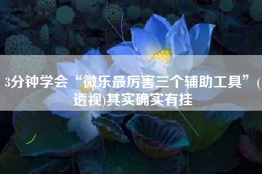 3分钟学会“微乐最厉害三个辅助工具”(透视)其实确实有挂