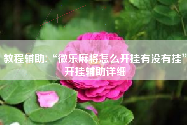 教程辅助!“微乐麻将怎么开挂有没有挂”开挂辅助详细