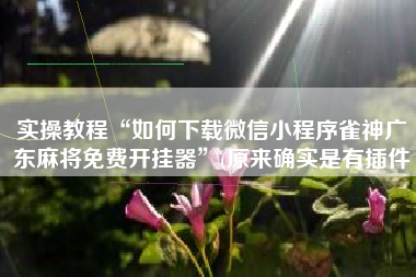 实操教程“如何下载微信小程序雀神广东麻将免费开挂器”(原来确实是有插件